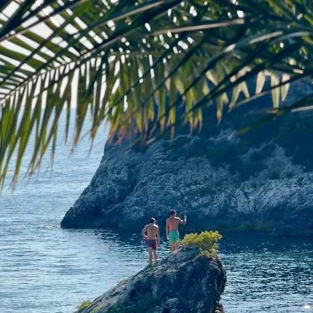 Glamping Albania Glamping *